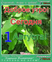 ⠀ #кэшбэк за поездки в 7 регионов рф будет доступен с 1 октября. Kartinki Dobroe Utro Segodnya 1 Avgusta Kartinki I Foto Prikoly Razvlekatelnyj Portal Yumor 72 Tv