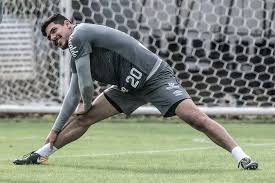 Sem vanderlei e vladimir, lesionados, joão paulo será titular do santos contra o vasco neste domingo, às 16h, no engenhão, pela 14ª rodada do campeonato brasileiro. Flamengo Teria Interesse No Goleiro Joao Paulo Do Santos