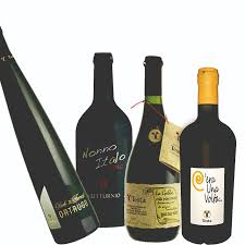 Cantine e vino a Castell'Arquato: Cantina Testa