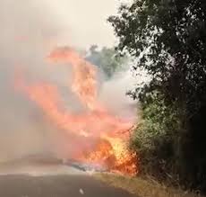 Brucia pineta dannunziana ++ 17:07 emergenza incendi in abruzzo, a pescara brucia la pineta. Incendi Ancora Fiamme In Sardegna Oggi Bollino Rosso Cronaca Ansa