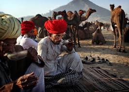 The pushkar fair (pushkar camel fair) or pushkar mela, as it is locally known as, is an annual weeklong camel and livestock fair held in the town every year, the chandrabhaga fair in rajasthan welcomes thousands of visitors and participants from all over the nation. Pushkar Fair Festival In Rajasthan Cultural Event In Rajasthan