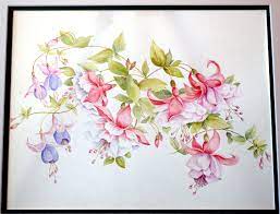 Pix For Fuschia Flowers Painting Flower Drawing Flower Art Flower Painting