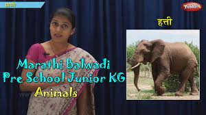 Animals Learn Marathi Pre School Balwadi Marathi Learning Videos Youtube
