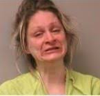 Man arrested for stealing, kicking officer