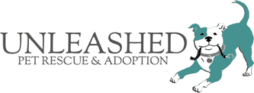 Unleashed is a licensed dog and cat rescue and animal shelter in mission, kansas. The Best Dog Related Volunteer Opportunities In Kansas City
