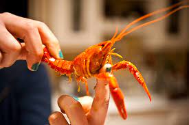 How To Eat Crawfish - Georgiapellegrini.com
