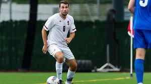 Image result for Musanga leo-errerae