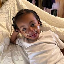 Fundraiser for Breanna Green by Melissa Feil : Supporting Breanna through  the loss of her sweet Carmello