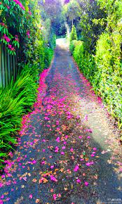 Select from premium flower road of the highest quality. Pin On Travel And Places