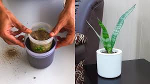 Making Small Cement Pot For Living Room Diy Planters Youtube