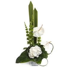 Tanaman ini juga cocok untuk mempercantik sudut ruangan rumah anda. Bunga Untuk Di Sudut Ruangan Florist Jakarta Toko Bunga Di Jakarta Barat 0822 99148647 Www Bungarawabelong Com