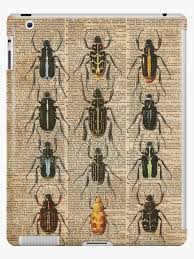 Beetles Bugs Insect Chart Biological Illustration On Vintage Dictionary Book Page Background Ipad Case Skin By Dictionaryart