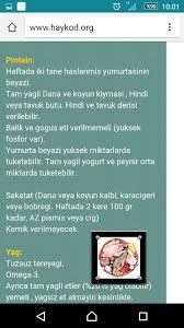 Kedi Beslenmesi Kedi Ordu