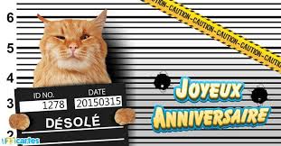 Chats Cartes Et Invitations Gratuites 123 Cartes Carte Anniversaire Carte Anniversaire Gratuite Anniversaire Oublie