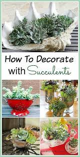 11 Beautiful Ways To Decorate With Succulents A Cultivated Nest Plants Succulent Garden Indoor Succulents Diy