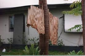 Hurricane shield systems also offers other products including custom made, hurricane rated operable shutters and a clear panel alternative to the hurricane panels, suitable for specialty and inoperable windows and may be left up during t he hurricane season or even year round. Hurricane Retrofit Guide Do It Yourself Shutters
