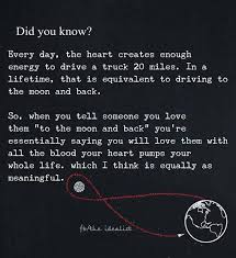 I Love You To The Moon And Never Back Artinya Adjie Santosoputro On Twitter Sudah Taukah Kamu Arti I Love You To The Moon And Back