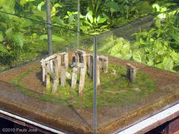 The latest aquascape magazine : Aga 2010 Aquascaping Contest 101