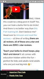 Pin By Phx Vegan On Betta Fish Betta Fish Training Kit Betta