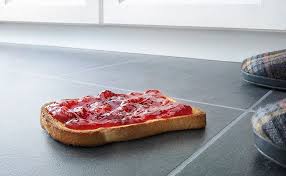 What Happens If You Eat Food That Fell On The Floor Prevention