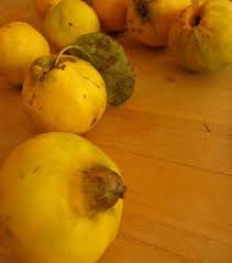 Got Quince Make Quince Paste Membrillo Recipe Quince Membrillo Recipe Quince Recipes