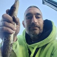 ᐅ Batchelor Brook fishing reports🎣• Belchertown, MA (United States) fishing