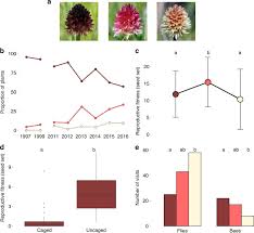 Our newburgh team welcomes you to create a tribute that both honors your loved one and serves your family's needs. Emergence Of A Floral Colour Polymorphism By Pollinator Mediated Overdominance Nature Communications