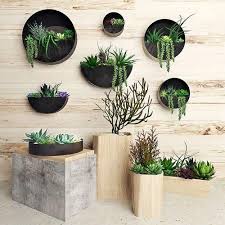 Hanging Plans 2 3d Model Plant Wall Decor House Plants Decor Plant Decor