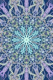 Mandala Art Using Mirrorgraph Symmetrical Indian Blue Pink Central Mandala Art Mandala Art