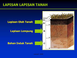 Pada lapisan ini merupakan tempat dimana makhluk hidup berkembangbiak. Opt Dalan Tanah Patogen Tular Tanah Ppt Download