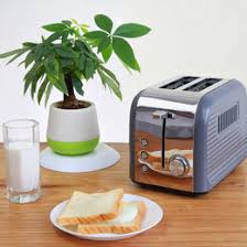 Each small appliance is designed to serve a specific purpose in your kitchen. Small Kitchen Appliance Manufacturers Suppliers From Mainland China Hong Kong Taiwan Worldwide