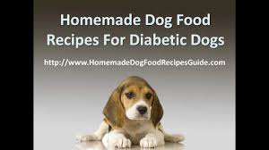 Use only three or four recipes you can work with and you think your dog might use feeding and exercising your diabetic dog as your resource for recipes for diabetic dog food that will keep your dog healthy and energetic. Homemade Dog Food Recipes For Diabetic Dogs Youtube