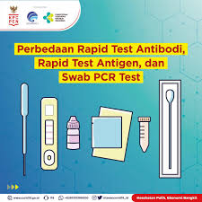 New section on processing of antigen tests, reflecting what has. Perbedaan Rapid Test Antibodi Rapid Test Antigen Dan Swab Pcr Test Masyarakat Umum Covid19 Go Id