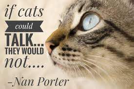 Cat Quoteswe Love Our Cats Cats Cat Quotes Cat Parenting