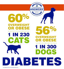 We are a dog & cat nutrition and supply store! Answers Pet Food On Twitter Mark Your Calendars We Will Be Discussing Diabetes And How To Manage Health Through Diet On Our Youtube Channel Answers Academy This Upcoming Wednesday September 13th At