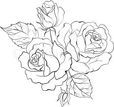 Blumenstrauss Aus Rosen Rosen Zeichnen Rose Zeichnung Rosenzeichnungen