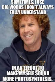 Résultat de recherche d'images pour "steatopygia"