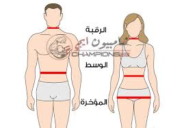 حاسبة دهون الجسم