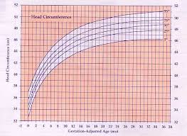 Premature Infant Girls Head Circumference Chart Premature