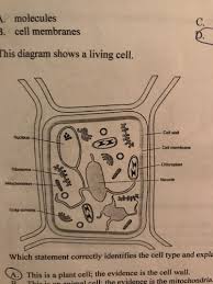 Maybe you would like to learn more about one of these? 7 Science Flashcards Quizlet