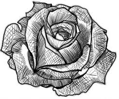 Pin On Drawings