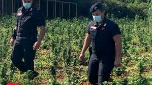 Obtenez les prévisions météo 7 jours les plus actuelles et les plus fiables en plus d'alertes d'orages, des rapports et de l'information pour city, avec météomédia. Meteo Agricole Aressy