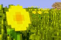 With tenor, maker of gif keyboard, add popular animated minecraft background animated gifs to your. Best Minecraft Gifs Primo Gif Latest Animated Gifs