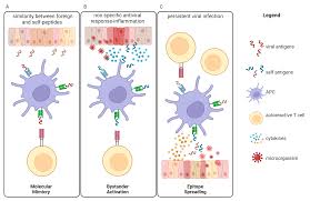 The Impact of Microbiota–Immunity–Hormone Interactions on Autoimmune  Diseases and Infection