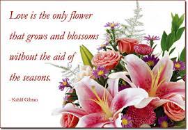 Check spelling or type a new query. Free Love Is The Flower Virtual Flowers And Quote By 800florals