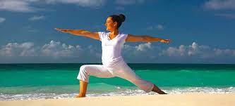 We did not find results for: Andrea Seidel Seidel A Profile Pinterest