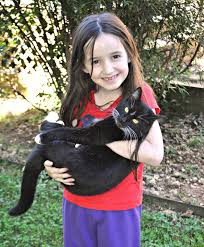 By pressing flowers with a microwave, you can have dried ready to use flowers in just a few minutes. Classical Homemaking How To Dry Flowers Using Cat Litter