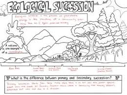 Ecological Succession Sketch Notes Diagram Ecological Succession Sketch Notes Science Lesson Plans Middle School