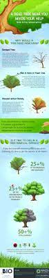 Tree Removal Service Infographic Tree Removal Tree Removal Service Tree Service
