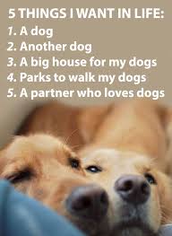 15 Inspirational Quotes All Dog Lovers Should Know Dog Quotes Funny Animal Pictures Dogs